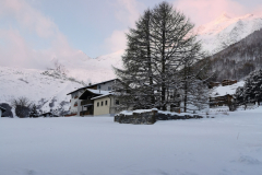 IMG_20211205_075113