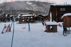 IMG_20211205_075116