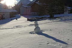 IMG_20211207_090803