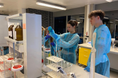 IMG_2335