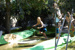 IMG_4409