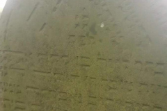 243568926_4865809866786580_4604286553752121633_n