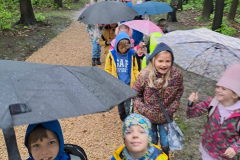 WhatsApp-Image-2023-05-19-at-11.52.01-2